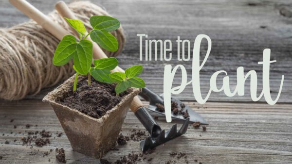 Time To Plant Week 1 (Sermon) Image